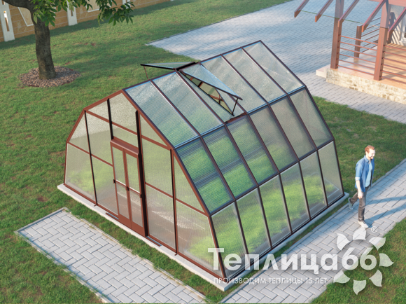 Теплица Рада Балхаш из поликарбоната, 5х4 метра, коричневая